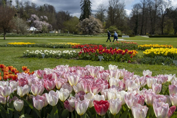 ARBORETUM VOLČJI POTOK I LJUBLJANA