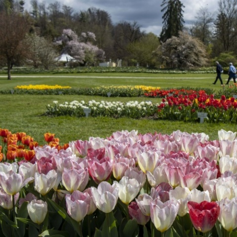 ARBORETUM VOLČJI POTOK I LJUBLJANA